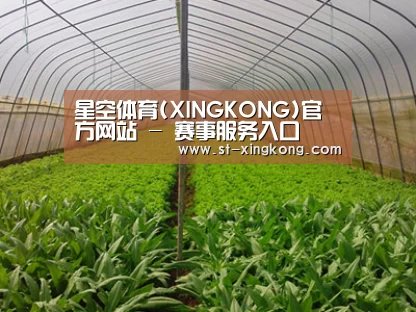 种植基地四