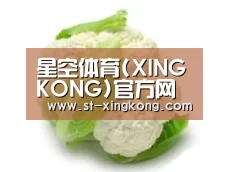 产品名称九