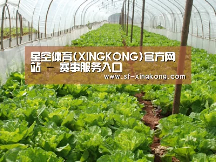 种植基地五