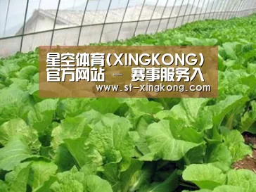 种植基地一