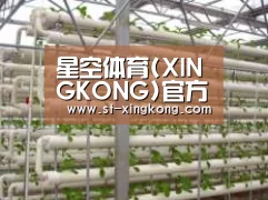环境展示六