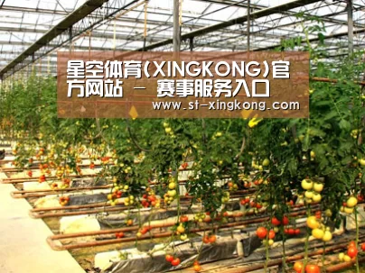 种植基地二