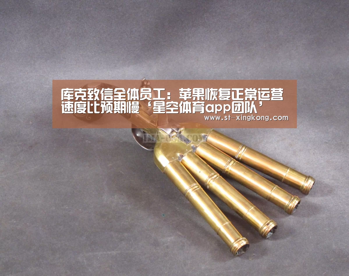 库克致信全体员工:苹果恢复正常运营速度比预期慢‘星空体育app团队’(图3) 星空体育app公司